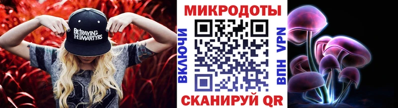Галлюциногенные грибы Psilocybine cubensis хочу Муравленко