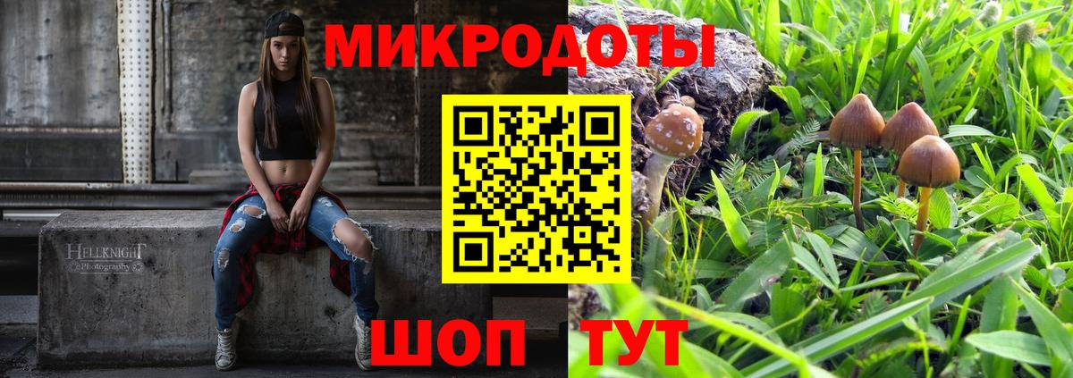 Псилоцибиновые грибы прущие грибы  где можно купить   Псилоцибиновые грибы прущие грибы  Муравленко  Вход с VPN 