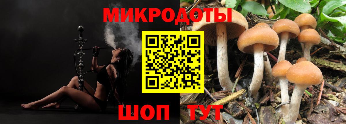 Галлюциногенные грибы MAGIC MUSHROOMS Муравленко